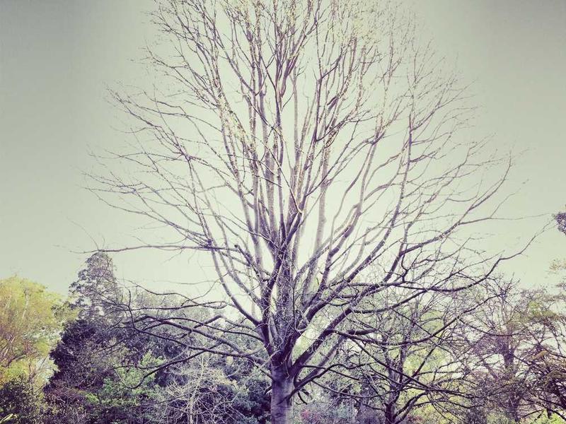 Savvy - Left Sidebar, 1 Column Post Dummy image