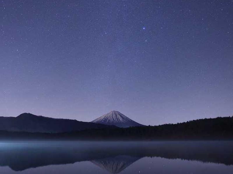 Savvy - Left Sidebar, 1 Column Post Dummy image