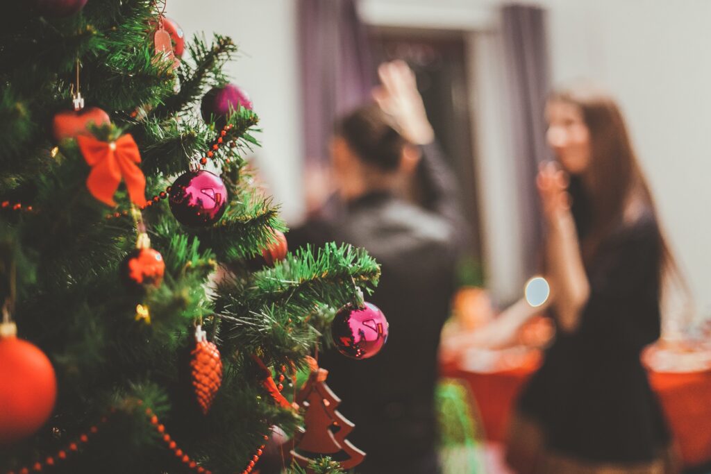 Holiday Survival Guide: In-laws Edition
