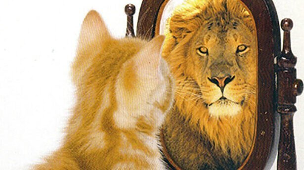 Quick Best Me Action Plan